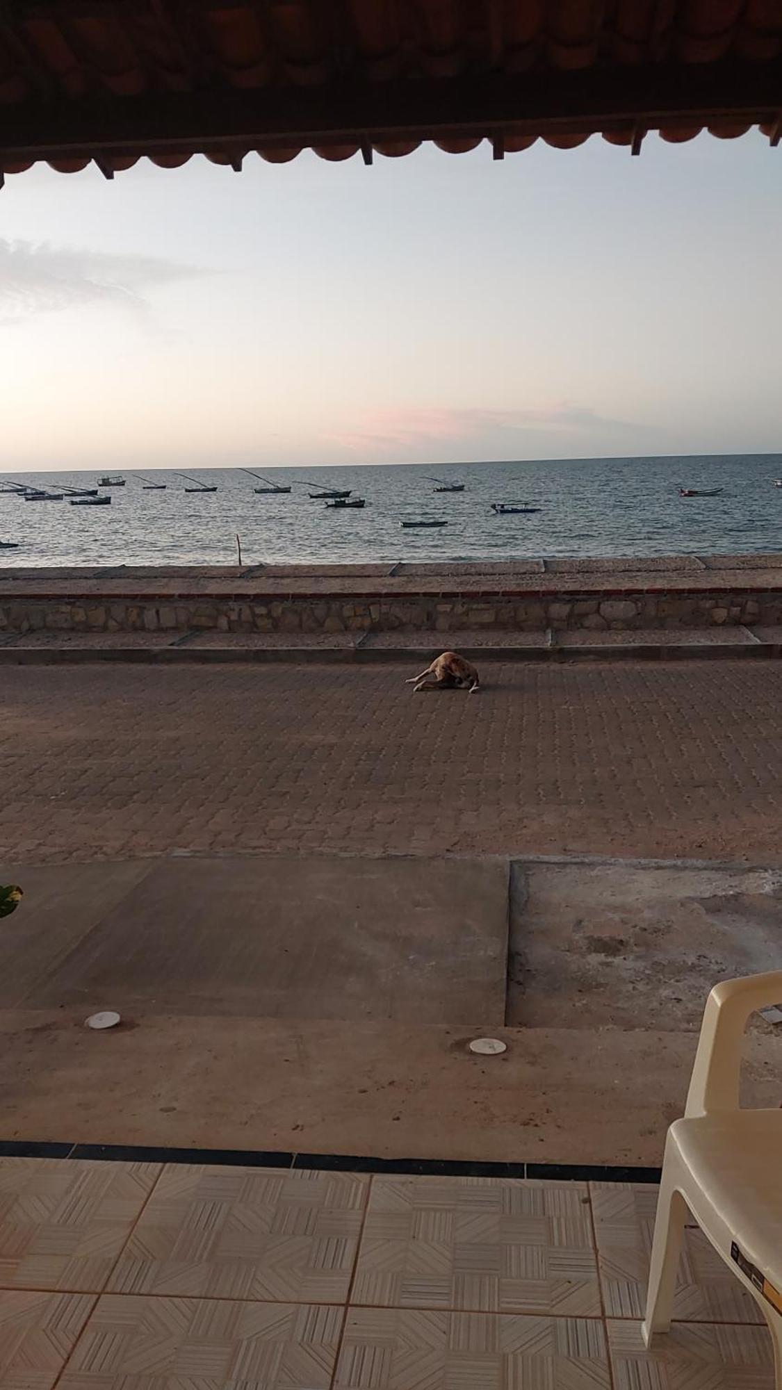 Chales Canto Do Mar Redonda Eksteriør bilde